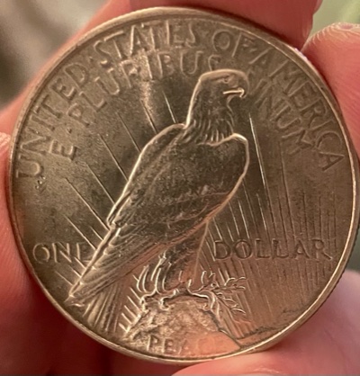Potential-New-Variety-For-The-1934-P